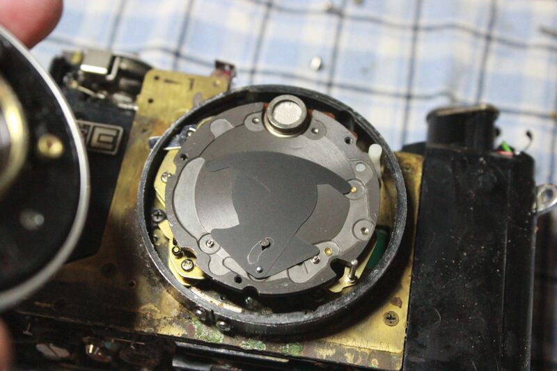 File:Shutter-blades.jpg